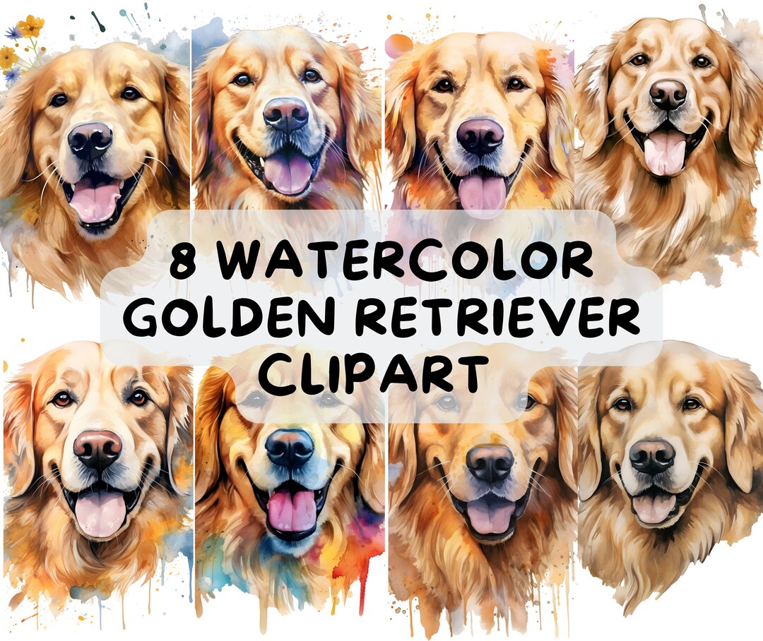 8 Golden Retriever Clipart Dog Lover Design Set Golden Retriever Art ...