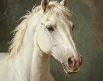 May include: An oil painting of a white horse head and neck, captured in profile against a dark, muted green background. The horse features a thick, textured mane, dark brown eyes, and visible brushstrokes that define its facial structure.