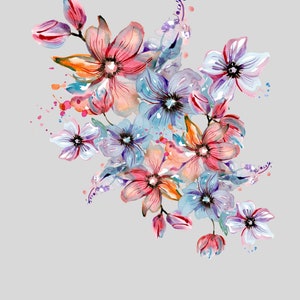 Colourful Flowers