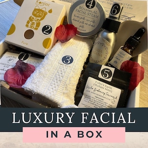 Ansiktsbehandling i låda, 7-stegs gör-det-själv-botaniskt ansiktskit Lyxigt spa-kit för hemmabruk med botaniska ingredienser. Skäm bort dig själv i presentask för henne, mamma eller syster.