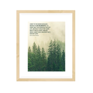 Può includere: Una stampa incorniciata con una citazione di Henry David Thoreau sul vivere deliberatamente e connettersi con la natura. La citazione è posizionata su uno sfondo di una foresta nebbiosa con alti alberi sempreverdi.