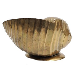 May include: A polished brass bowl shaped like a nautilus shell, featuring vertical ribbed textures along its curved exterior. The metallic object rests on a circular base and displays a warm, golden-brown patina with subtle surface variations.