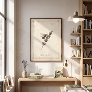 May include: A framed wall art print featuring a vintage-style botanical illustration of a honeybee on a lavender sprig. The cream-coloured background includes the text TAB. XVII and Apis Mellifera, enclosed within a decorative brown border frame.