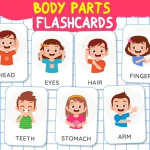 Tarjetas didácticas educativas sobre PARTES DEL CUERPO para niños/Aprende con diversión, Tarjetas Montessori preescolares, 23 Tarjetas flash sobre partes del cuerpo