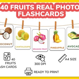 May include: A set of 40 printable flashcards featuring real photos of different fruits. The flashcards are A4 size and 300 DPI. The fruits pictured include coconut, cantaloupe, dragon fruit, pineapple, and avocado.