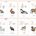 Watercolor Animal Cursive Alphabet Flashcards (PDF Printable) - Etsy