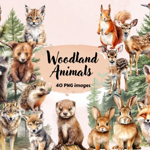 Clipart animaux de la forêt aquarelle animaux de la forêt PNG, bébés des forêts sauvages, bébés animaux, clipart forêt, renard cerf loup ours hérisson
