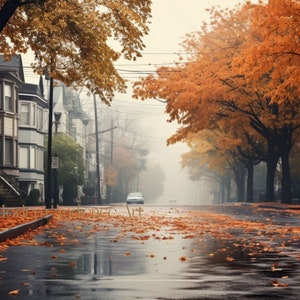 Op de afbeelding: Een straat met bomen aan weerszijden in de herfst, met oranje en gele bladeren die op de grond vallen. De straat is nat van de regen en er rijdt een auto in de verte over de straat. De huizen aan de straat zijn oud en hebben een vintage uitstraling.