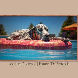 May include: A black and white dog with blue eyes is floating in a pool on a pink and yellow inflatable ring. The dog is resting its head on the ring and looking at the camera. The pool is surrounded by a wooden fence and there is a blue sky in the background.