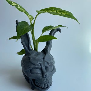 Donnie darko