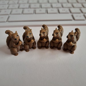 100 Mini Eichhörnchen Bild 1