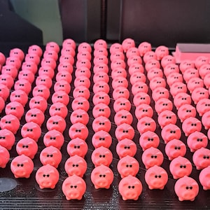 100 mini pigs image 1