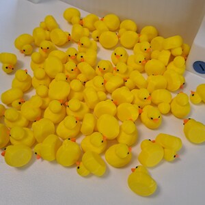 100 Mini Enten Bild 3