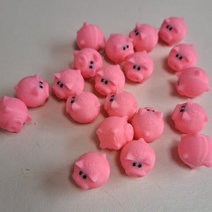 100 mini pigs image 3