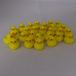 100 Mini Enten Bild 2