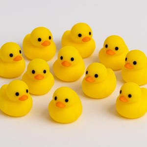 100 Mini Enten