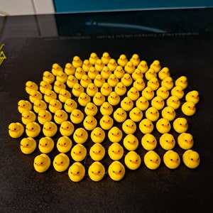 100 Mini Enten personalisierbar Bild 4