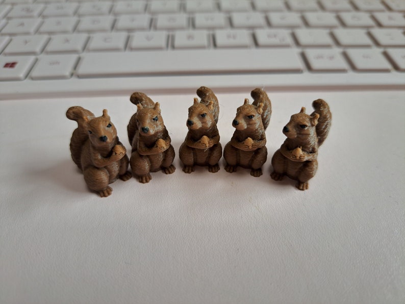 100 Mini Eichhörnchen Bild 1