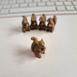 100 Mini Eichhörnchen Bild 2