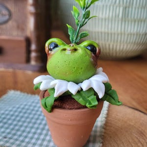 Könnte beinhalten: Eine kleine grüne Froschfigur mit großen schwarzen Augen, die aus einem terrakottafarbenen Topf hervorschaut. Der Frosch ist von weißen Blütenblättern und grünen Blättern umgeben, mit einem kleinen grünen Zweig auf dem Kopf.