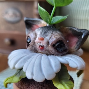cute polymer clay art toy plant animal flower pot
