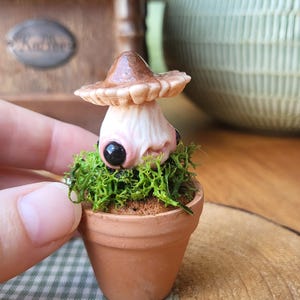 Könnte beinhalten: Eine kleine, modellierte Kreatur mit einem braunen Pilzhut als Kopf und einem blassen, texturierten Körper mit großen, glänzenden schwarzen Augen. Die Figur sitzt in einem Miniatur-Terrakottatopf, der mit grünem Moos und brauner Erde gefüllt ist.