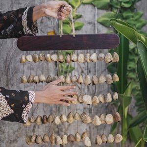 Pangi Seed Shaker: Balinese meditatiegeluid genezende rammelaar