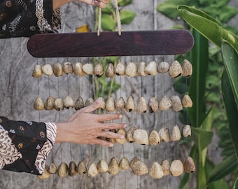 Pangi Seed Shaker, Water Sound Shaker, Pangi Seed Rattle, Nut Shell Shaker, Balinese Meditation Shaker