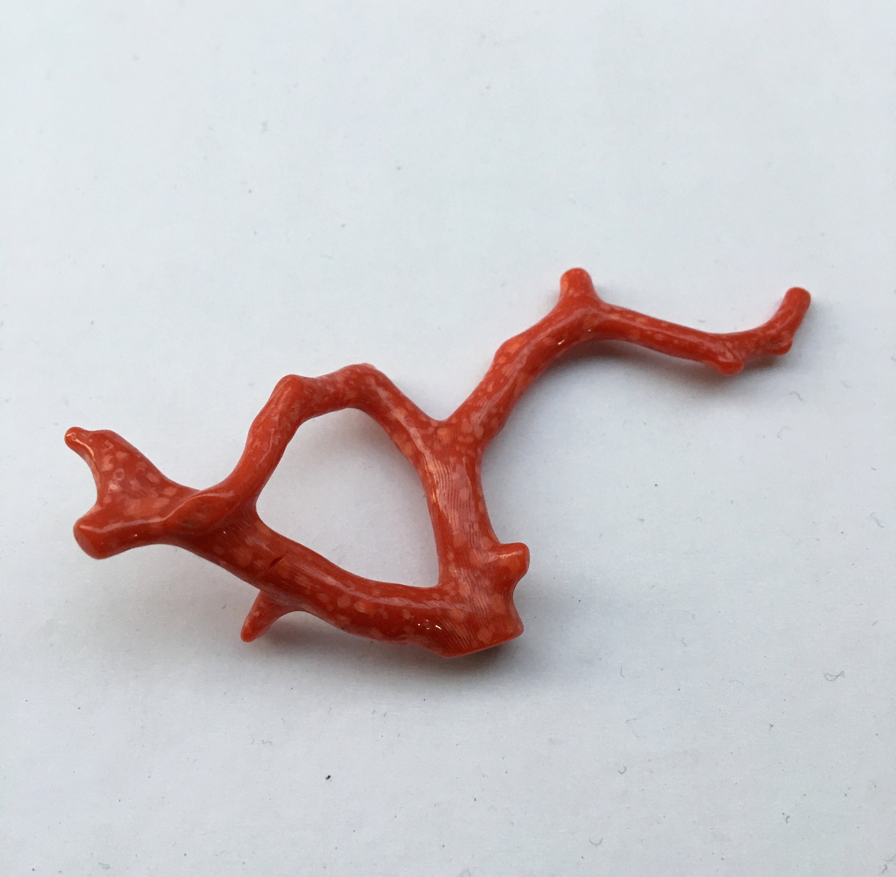 Branche De Corail Naturel Poli – Italie – 15 Carats – Blanc/rose – Non Teint – Pierre Précieuse