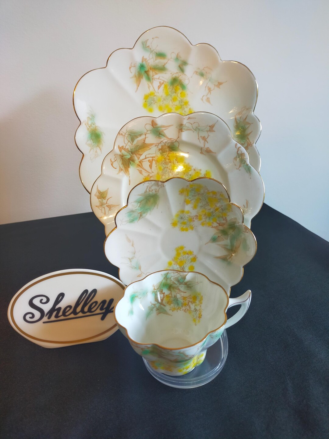 Antique Wileman Foley China Set, Daisy & Snowdrop Pattern - Etsy