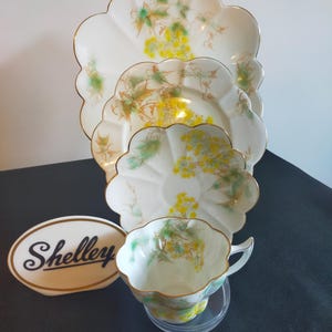 Antique Wileman Foley China - Etsy