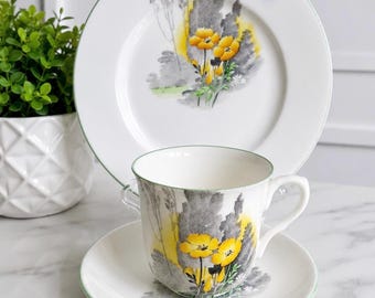 Zeldzaam Shelley China Trio Patroon 2167 ca. 1931 | Vintage theekopje, schotel en dessertbordje | Gele boterbloemen | Art Deco Engels bone china |