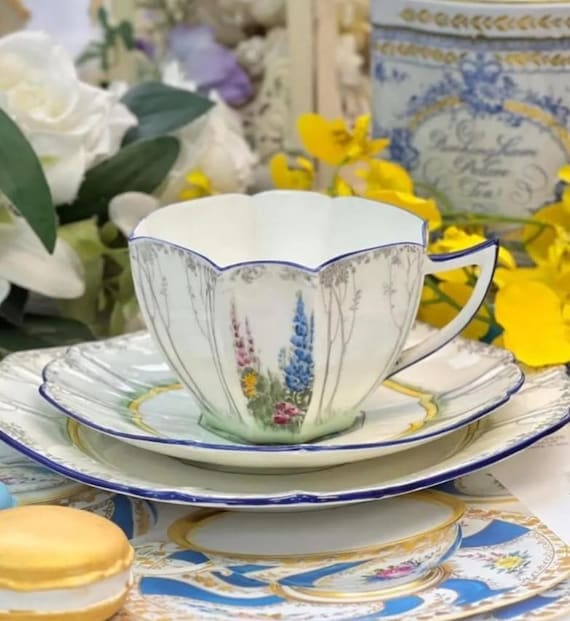 Shelley Queen Anne Shape 