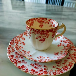 Rare Antique Wileman Foley China Ivy Terracotta Pattern