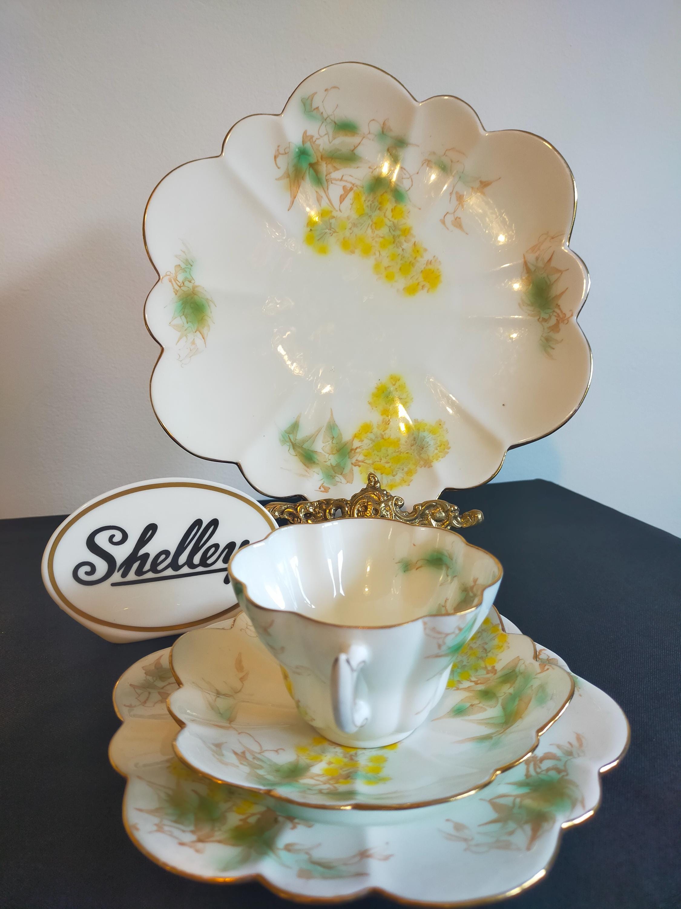 Antique Wileman Foley China Set, Daisy & Snowdrop Pattern - Etsy UK