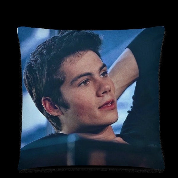 Beautiful Dylan O'brien pillow for all those who love him