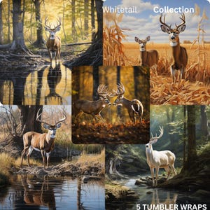 Könnte beinhalten: Eine Sammlung von fünf digitalen Becher-Designs mit Weißwedelhirschen in verschiedenen natürlichen Umgebungen, darunter Waldflüsse und goldene Felder, mit dem Text Whitetail Collection und 5 TUMBLER WRAPS auf dem Bild.