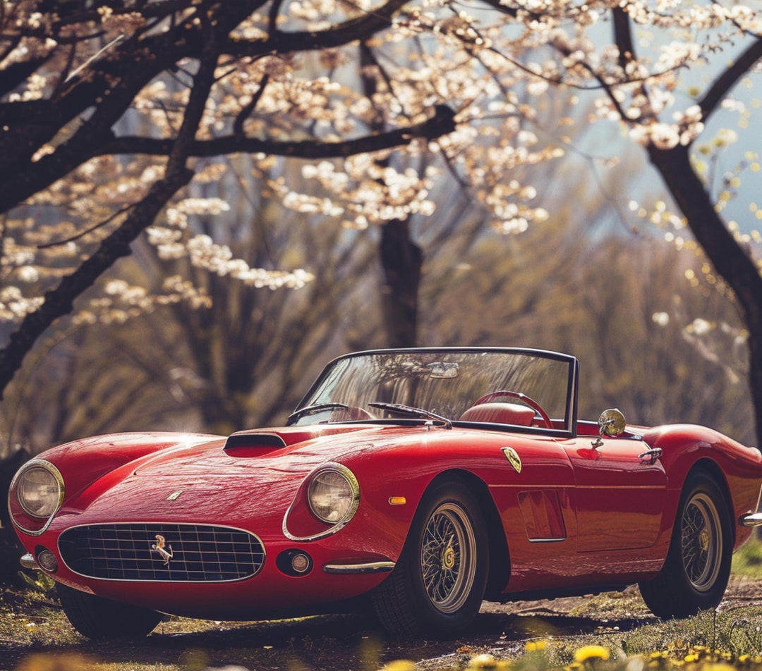Classic Red Ferrari Spider Convertible Among the Cherry