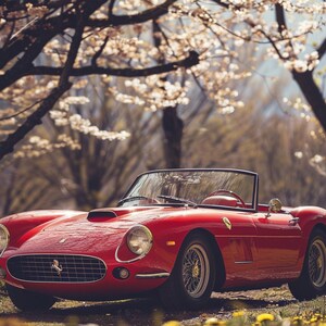 Op de afbeelding: Een klassieke rode Ferrari sportwagen geparkeerd voor een achtergrond van bloeiende kersenbomen. De auto heeft een zwart interieur en een zwart cabriodak.