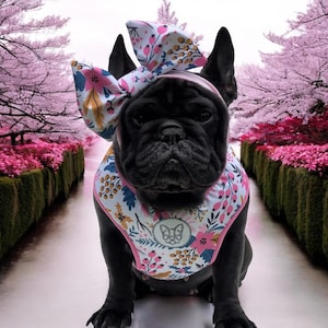 Dog Harness | Puppy Harness | Pet Harness | Small Dog | Dogs | Birthday Gift For Dogs