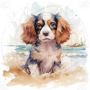 Cavalier King Dog clipart Regalo per cucciolo Cavalier King Charles Spaniel Lovers Dog life Sublimation Design png