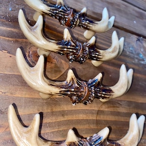 May include: Four decorative antler-shaped cabinet knobs with a brown and beige finish. The knobs are arranged in a row on a wooden surface.