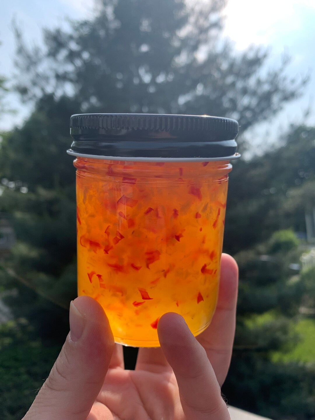 Pineapple Ghost Pepper Jam Etsy