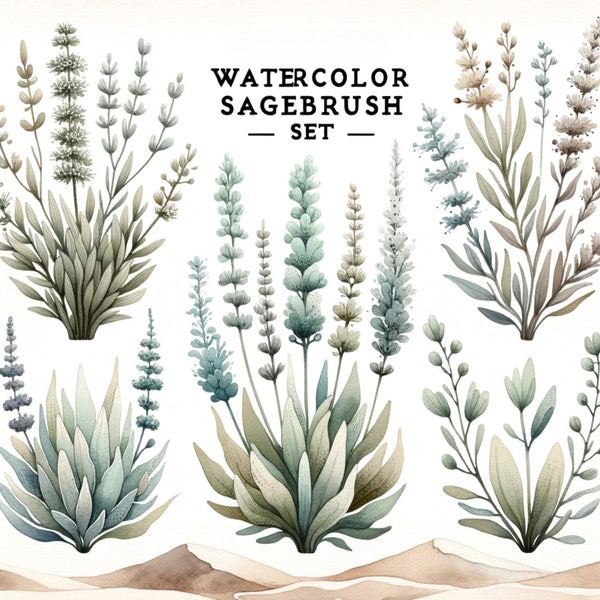 Sagebrush Clipart Watercolor Sage Brush Clip Art Bundle 300DPI Transparent PNG JPG for Scrapbooking Crafts Junk Journal Commercial Use