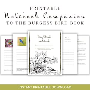 My Bird Book: Companion Notebook to The Burgess Bird Book
