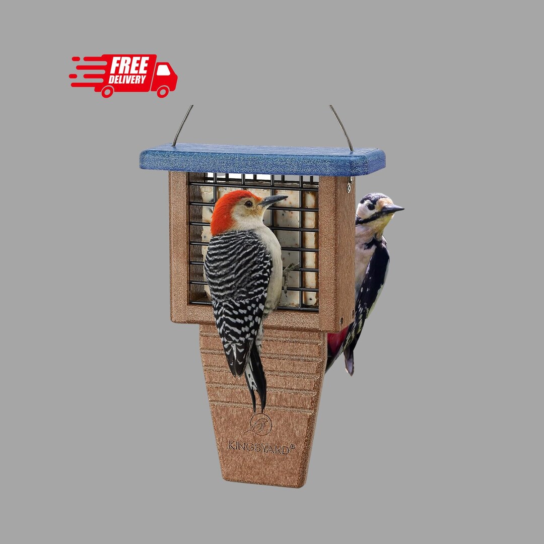 Plastic Suet Bird Feeder Tail Prop Suet Feeder for Outside Etsy