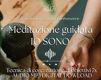 Meditazione co-creazione di obiettivi| Legge di attrazione| Meditazione guidata|Audio mp3 download digitale| Audio meditazione