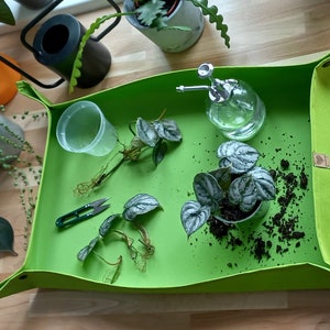 Puede incluir: Una bandeja de fieltro verde con una planta en maceta, una pequeña planta en maceta, un vaso de plástico transparente, unas tijeras y una botella de spray de vidrio. La bandeja tiene una etiqueta de cuero marrón con la palabra "Tierra" en ella.