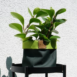 Puede incluir: Una planta verde con hojas exuberantes en una maceta de tela verde y verde lima con una etiqueta de cuero marrón que dice "The Sisters". La maceta está sobre un soporte de metal negro.