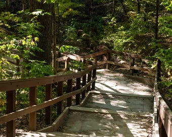 Winding Forest Steps - Digital Print, Desktop Background